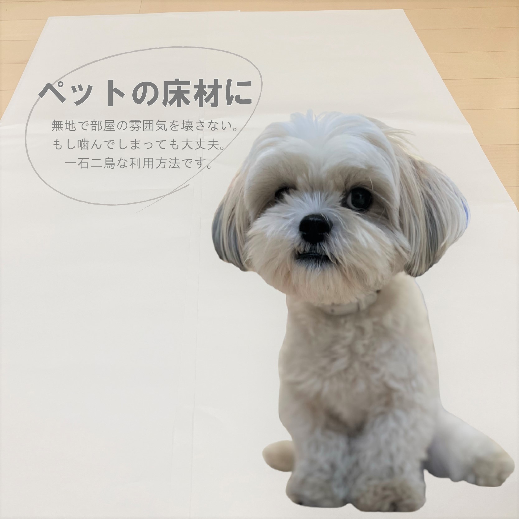 無地新聞紙 約1000枚 約10kg 厚さ0.06mm 405mm x 545mm 商品画像サムネイル4