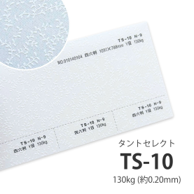 TS-10(タントセレクト10) 130kg(0.20mm)の商品画像