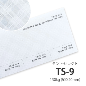 TS-9(タントセレクト9) 130kg(約0.20mm)の商品画像