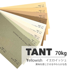 タント70kg(0.12mm) Y色の商品画像