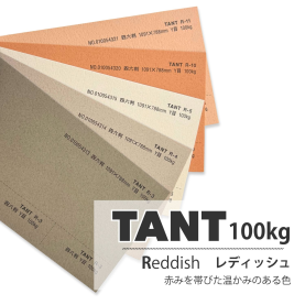 タント100kg(0.18mm) R色の商品画像
