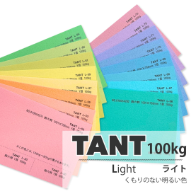 タント100kg(0.18mm) L色の商品画像