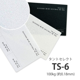 TS-6(タントセレクト6) 100kg(0.18mm)の商品画像