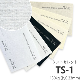 TS-1(タントセレクト1) 130kg(0.23mm)の商品画像