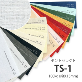 TS-1(タントセレクト1) 100kg(0.18mm)の商品画像