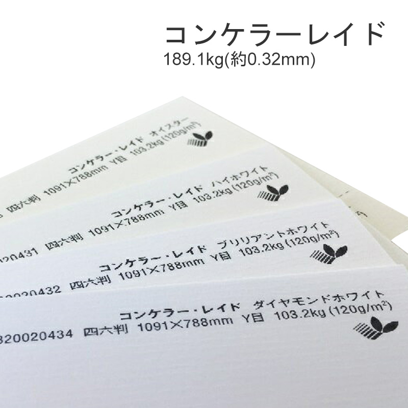 コンケラーレイド 商品画像