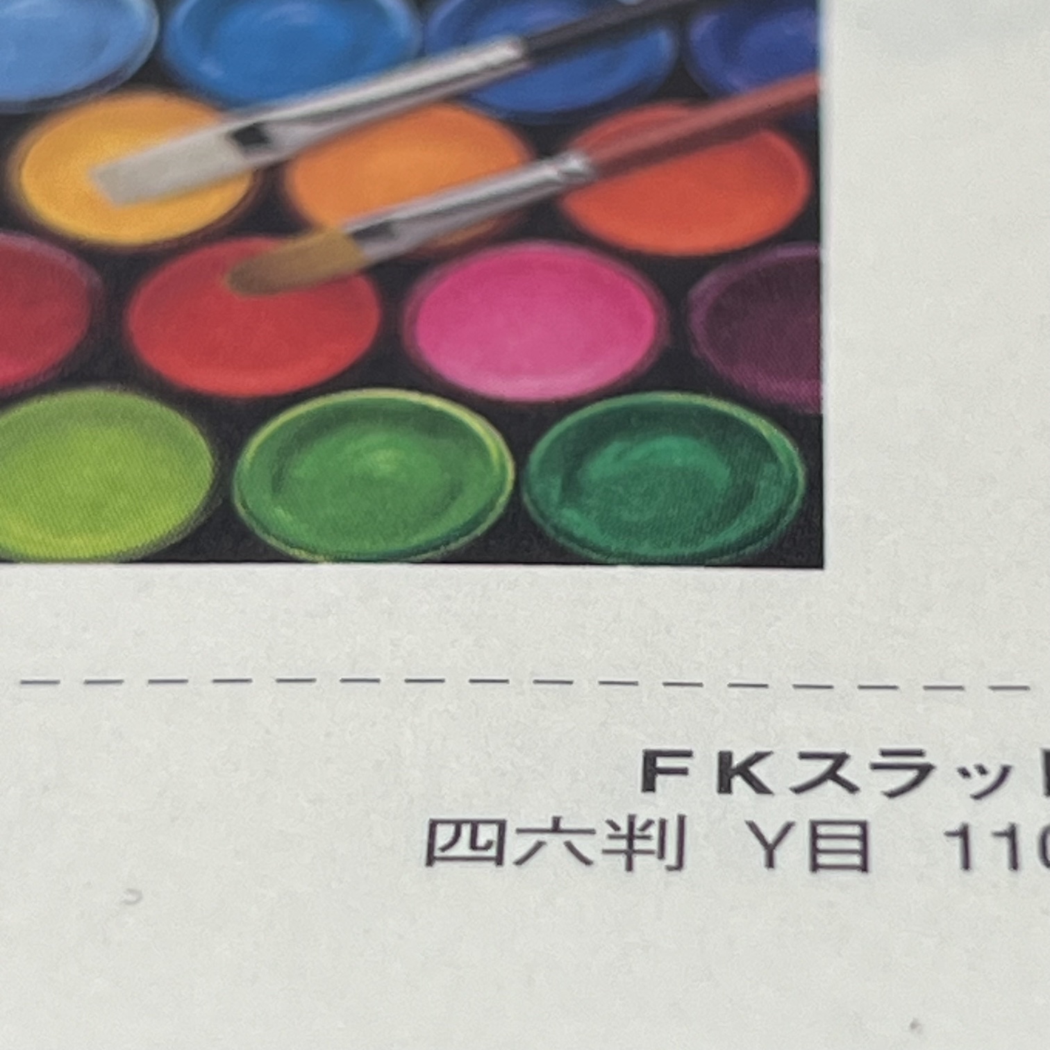 FKスラットR 110kg(0.14mm) 商品画像サムネイル4
