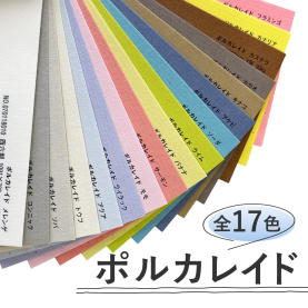 ポルカレイド 90kg(0.16mm)の商品画像