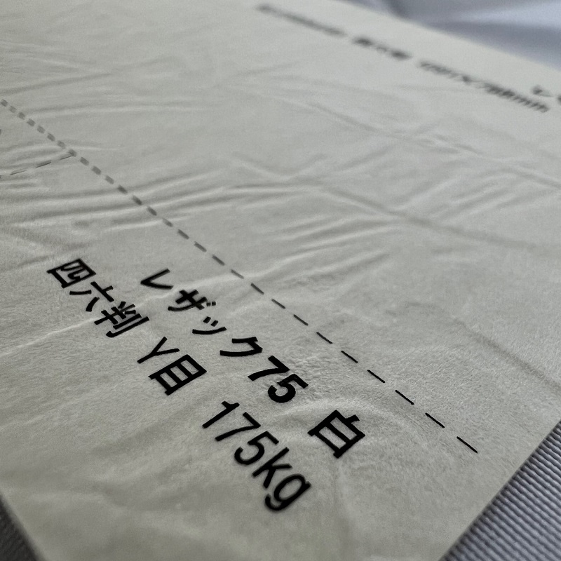 レザック75 175kg(0.24mm) 商品画像サムネイル2