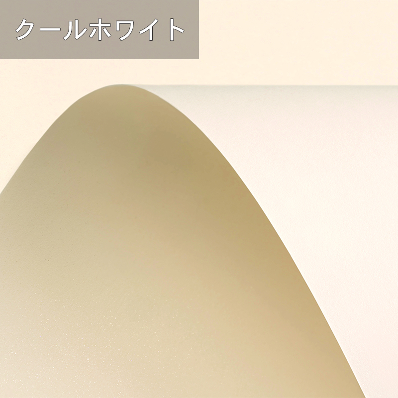 キュリアスメタルN 220.3kg(0.33mm) 商品画像サムネイル2