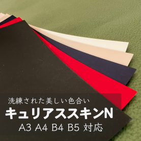 キュリアススキンＮ 189kg(0.28mm)の商品画像