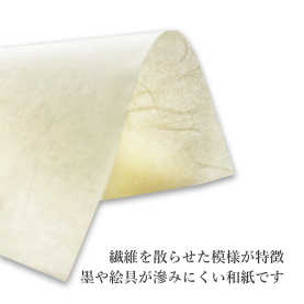 雲竜紙 (サイズ入り) 白(No.3835)/未晒(No.3836)  32.5kg(約0.08mm)のカラーバリエーションなど