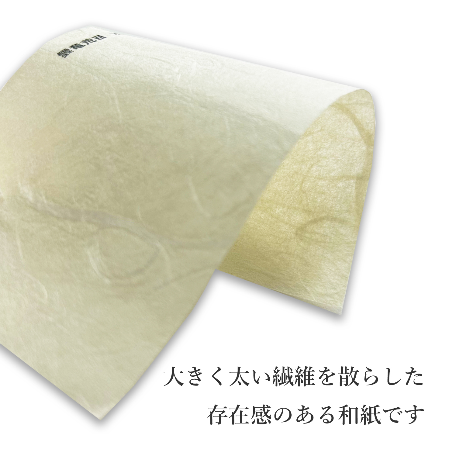 雲竜紙 荒目 白 45.5kg(約0.15mm)No.3841/未晒 35.8kg(約0.10mm)No.3842 商品画像サムネイル1