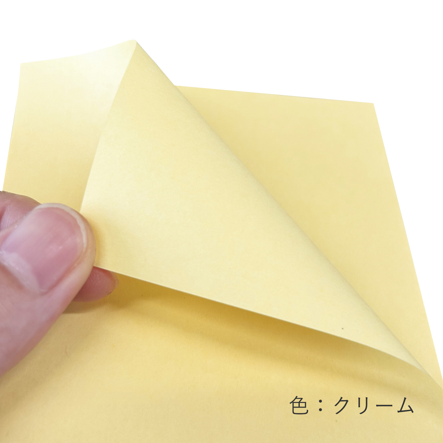 色上質紙 大王の色上質 薄口 A4 1,000枚 商品画像サムネイル3