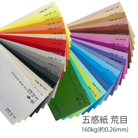 五感紙 荒目 160kg(0.26mm)の商品画像