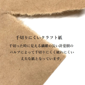 ゴールドアトラス 半晒クラフト紙 75.5kg A3 A4のカラーバリエーションなど