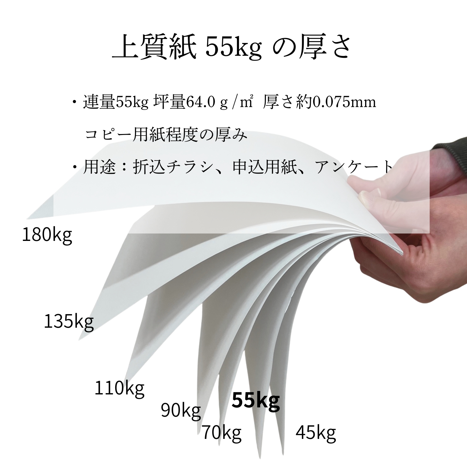 上質紙 (55kg) B5 1,000枚 商品画像サムネイル6