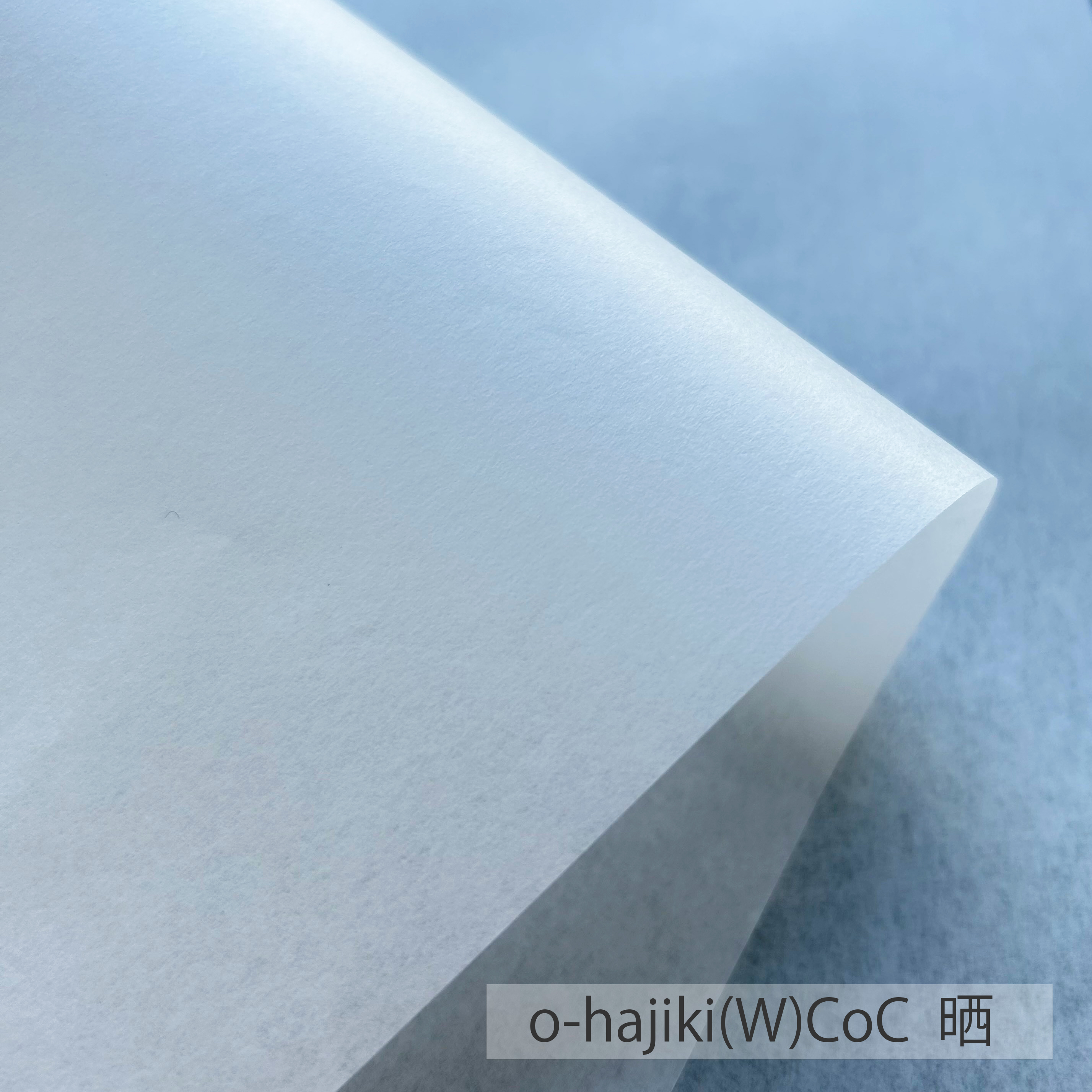 オハジキ O-hajiki CoC 34.4kg(約0.05mm) 商品画像サムネイル2