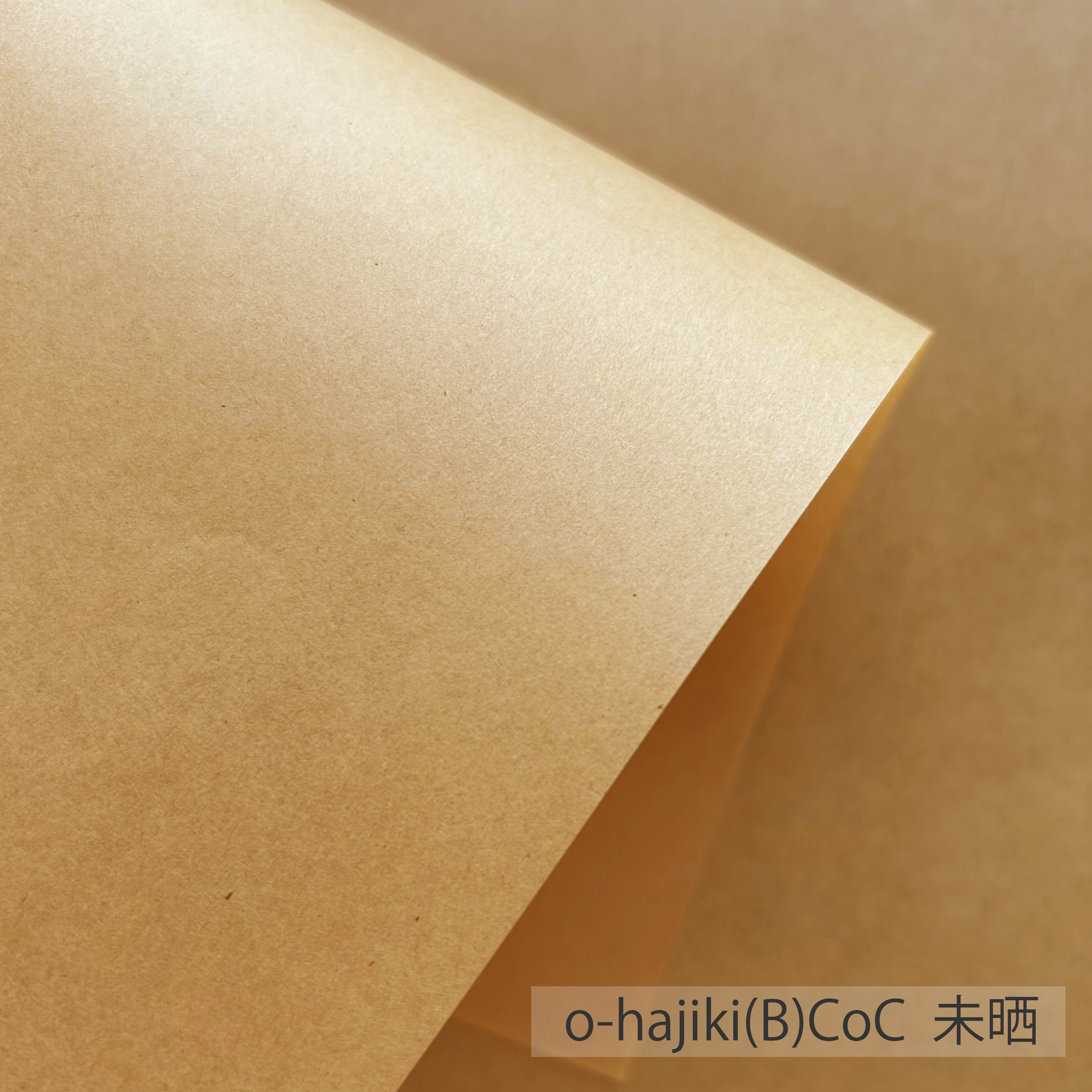 オハジキ O-hajiki CoC 34.4kg(約0.05mm) 商品画像サムネイル3