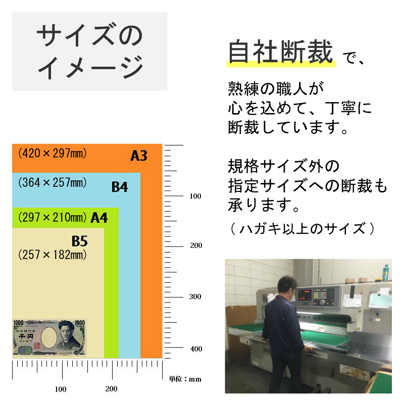 色上質紙 大王の色上質 中厚口 B4 1,000枚 商品画像サムネイル5