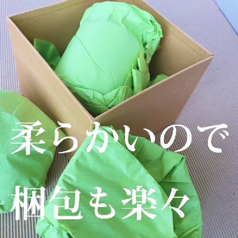 中筋ロール(日和色) うぐいす紙 23.5kg 四つ切 商品画像サムネイル5