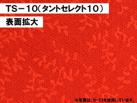 TS-10(タントセレクト10) 100kg(0.16mm)のカラーバリエーションなど