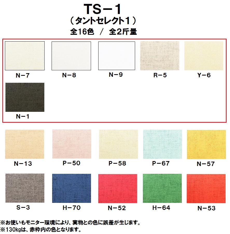 TS-1(タントセレクト1) 100kg(0.18mm) 商品画像サムネイル1