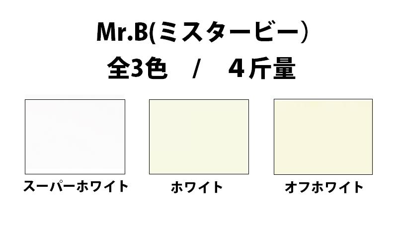 Mr.B ミスタービー 90kg(0.14mm) 商品画像サムネイル1