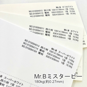 Mr.B ミスタービー 180kg(0.27mm)の商品画像