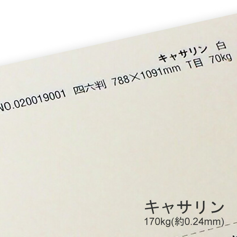キャサリン 170kg(0.24mm) 商品画像