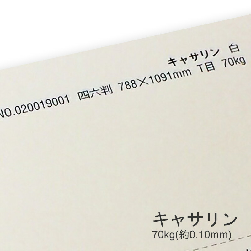 キャサリン 70kg(0.10mm) 商品画像