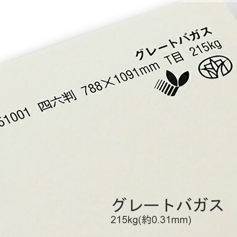 グレートバガス 265kg(0.42mm) 商品画像