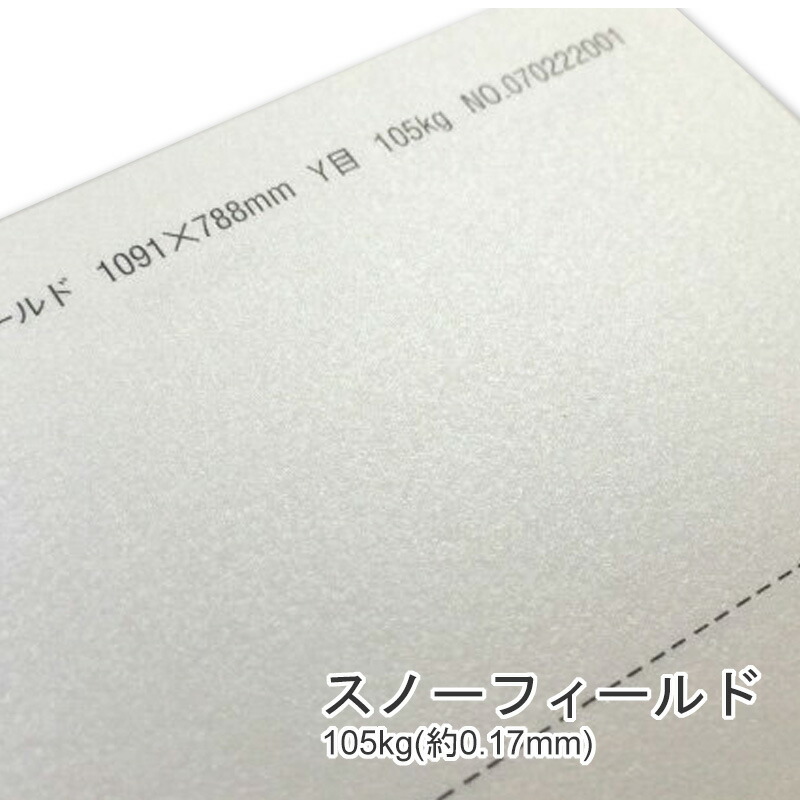 スノーフィールドF 105kg(0.17mm) 商品画像