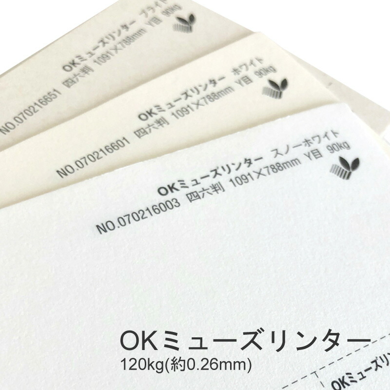 OKミューズリンター 120kg(0.26mm) 商品画像