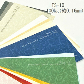 TS-10(タントセレクト10) 100kg(0.16mm)の商品画像