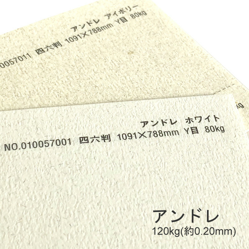 アンドレ 120kg(0.20mm) 商品画像