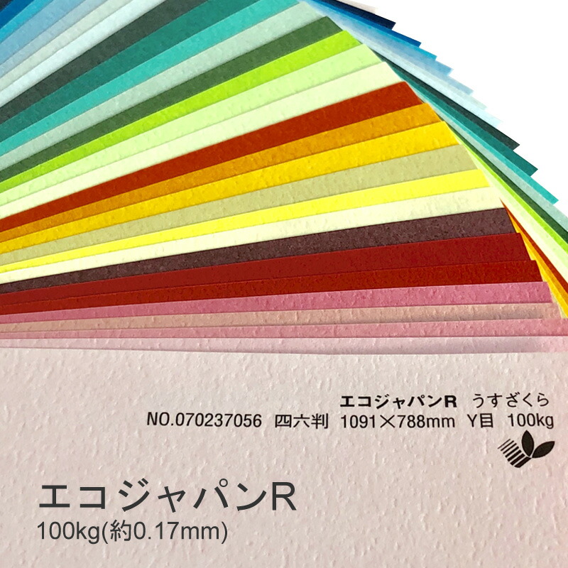 エコジャパンＲ 100kg(0.17mm) 商品画像