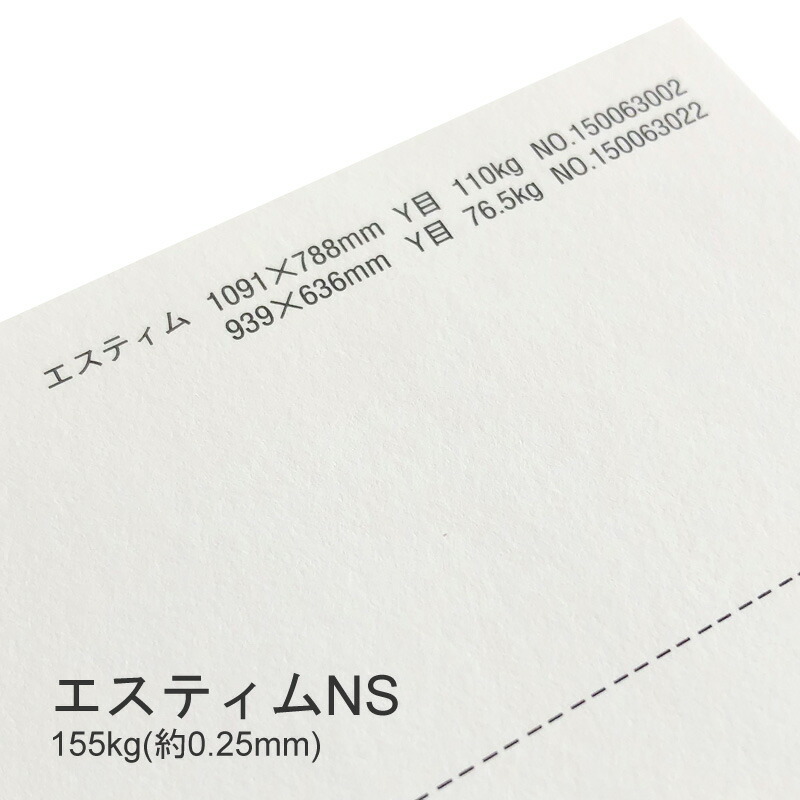 エスティムNS 155kg(0.25mm) 商品画像