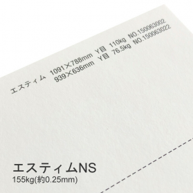 エスティムNS 155kg(0.25mm)の商品画像