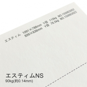 エスティムNS 90kg(0.14mm)の商品画像