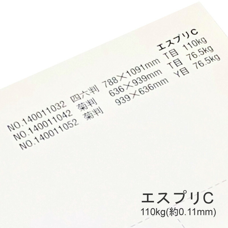 エスプリC 180kg(0.20mm) 商品画像