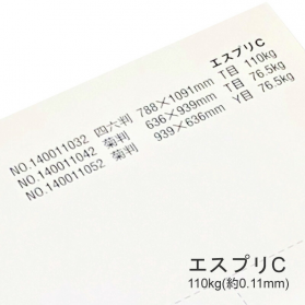 エスプリC 110kg(0.11mm)の商品画像