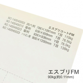 エスプリFM 90kg(0.11mm)の商品画像