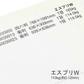 エスプリW 110kg(0.12mm)の商品画像