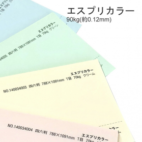 エスプリカラー 90kg(0.12mm)の商品画像