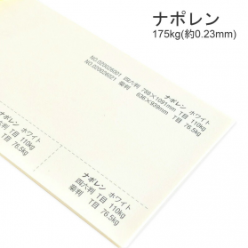 ナポレン 175kg(0.23mm)の商品画像