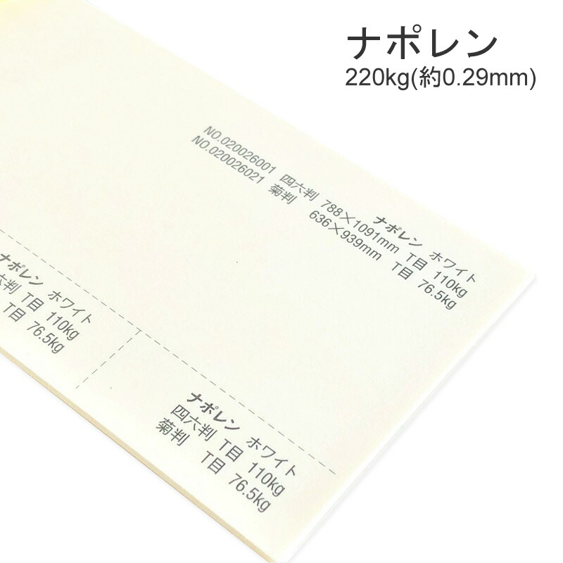 ナポレン 220kg(0.29mm) 商品画像