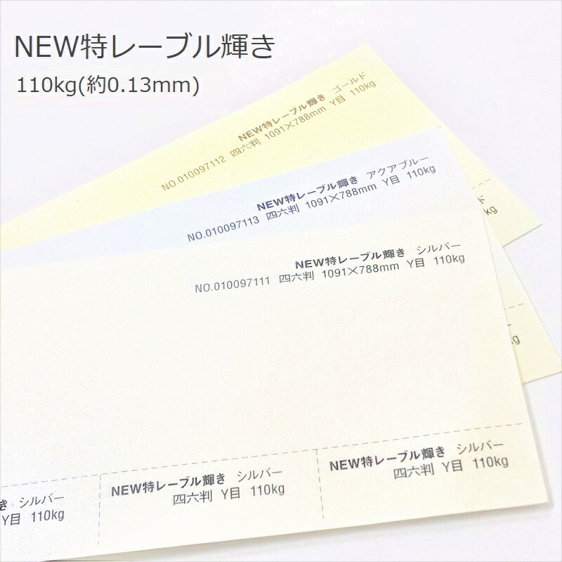 NEW特レーブル輝き 110kg(0.13mm) 商品画像