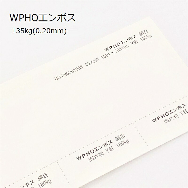 ＷＰＨＯエンボス 135kg(0.20mm) 商品画像