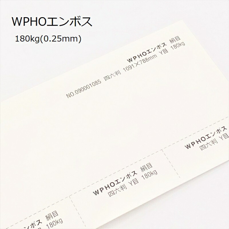 ＷＰＨＯエンボス 180kg(0.25mm) 商品画像